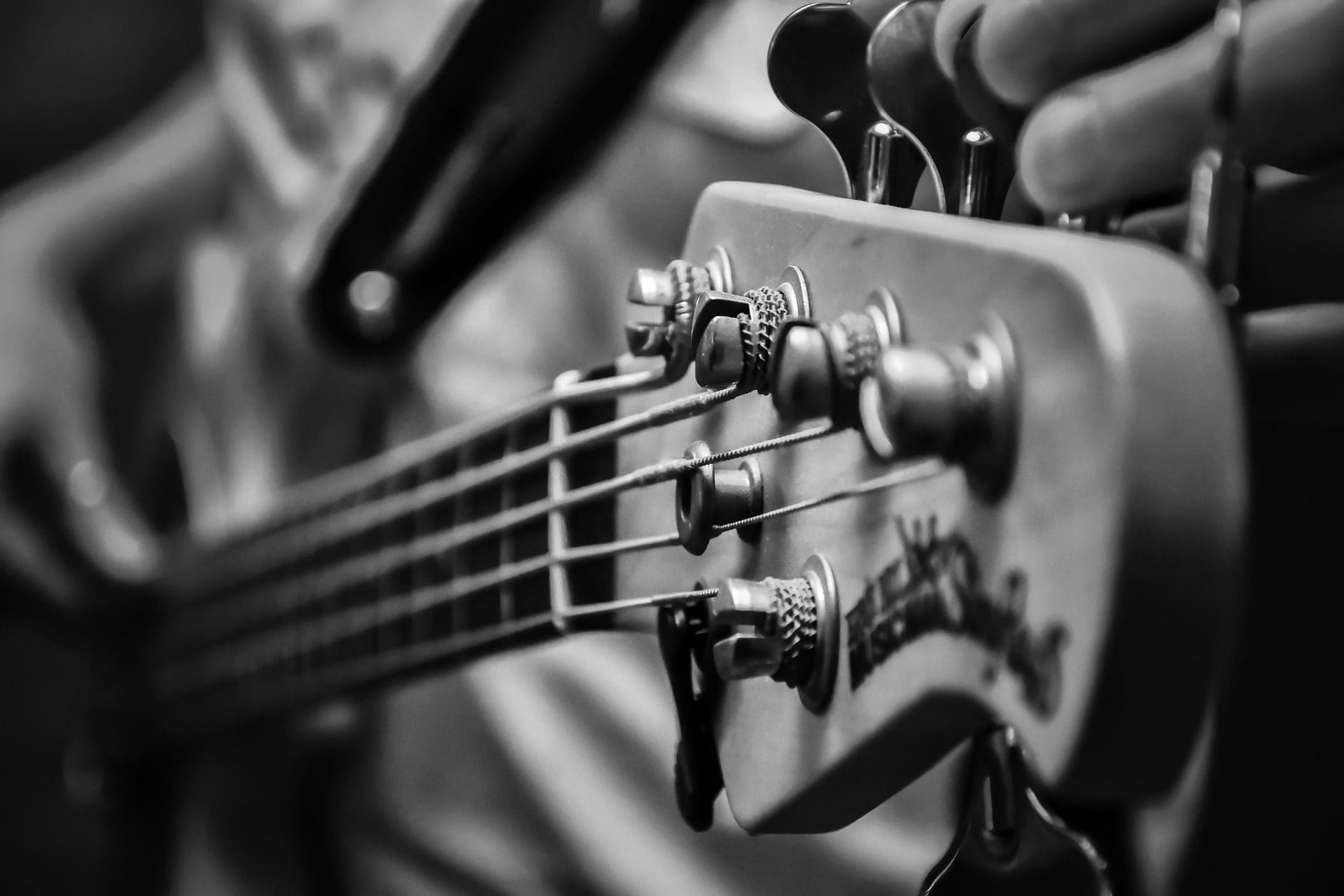 Music in the Park in Bellevue