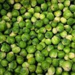 sprouts