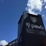 Dewch i fwynhau FOCUS Wales yn Tŷ Pawb...