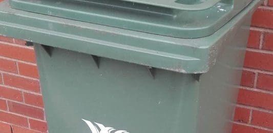 green bin