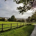 Celebration event to mark Fields in Trust status for all our Country Parks