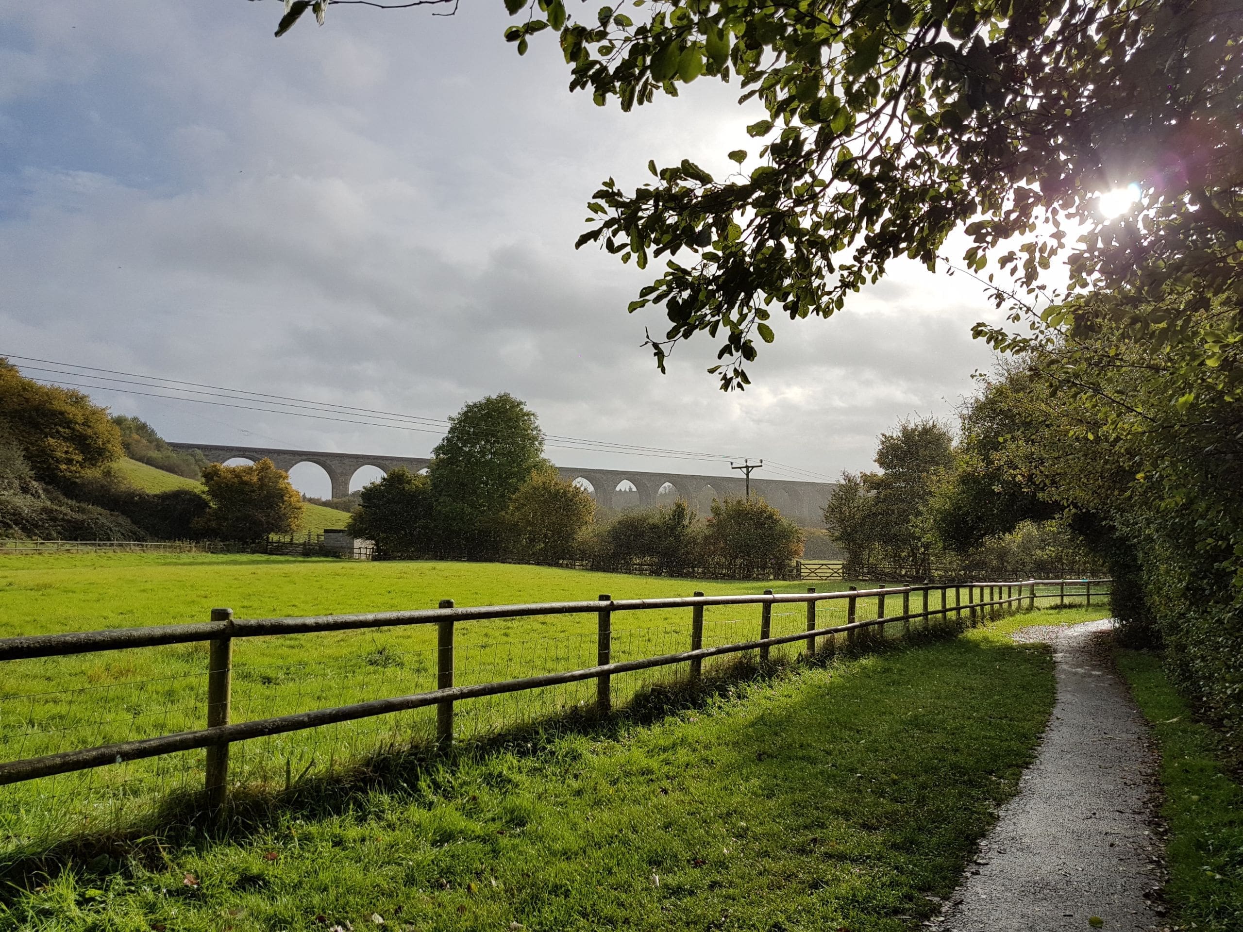 Celebration event to mark Fields in Trust status for all our Country Parks