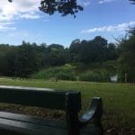 Acton Park View Scenery Bench