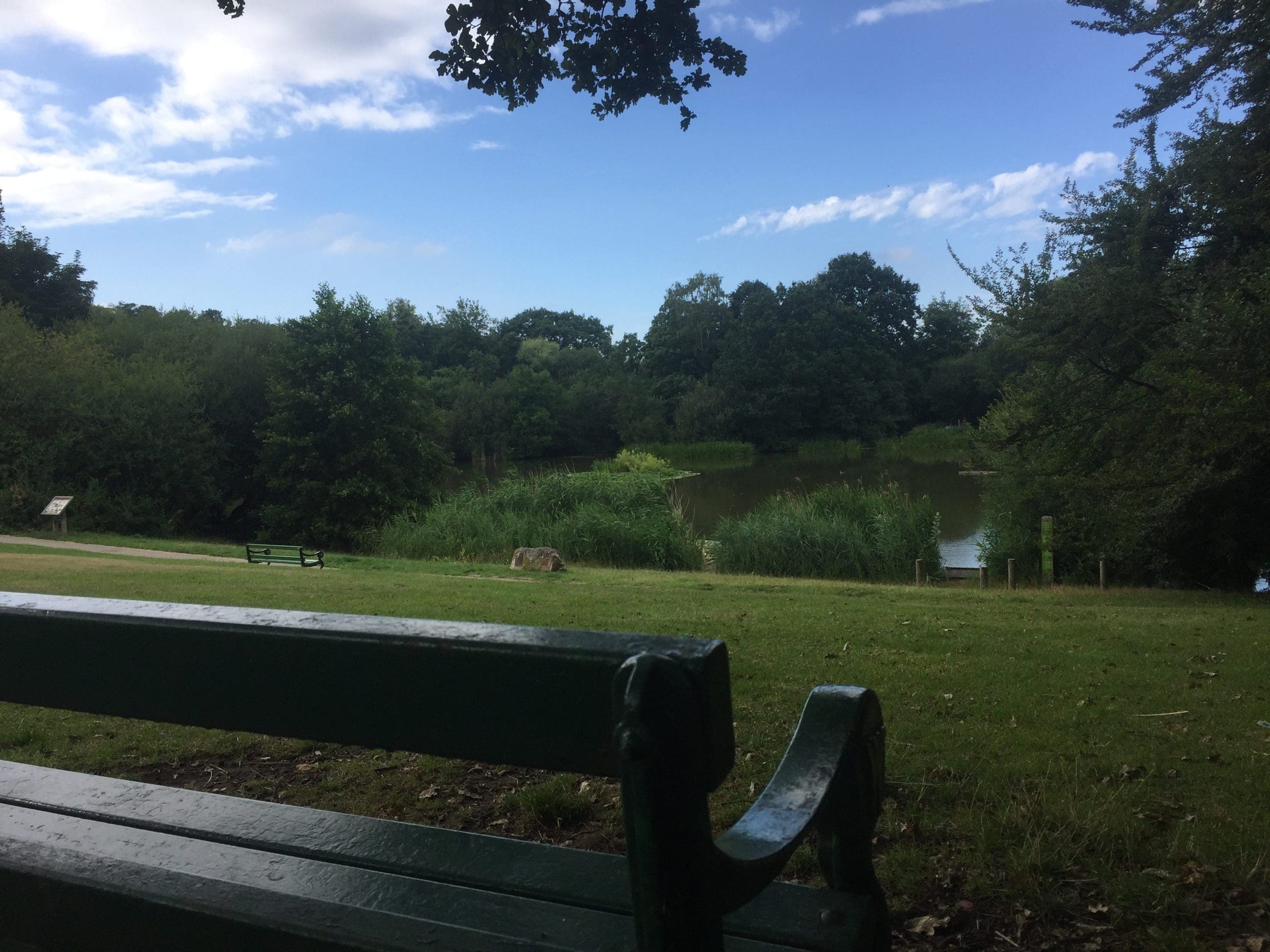 Acton Park View Scenery Bench