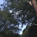 The Clywedog Valley Trail shows the best of Wrexham. Watch our video and see for yourself…