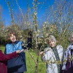 Seren deledu ac arbenigwr crefft byw yn y gwyllt yn cefnogi gwirfoddoli