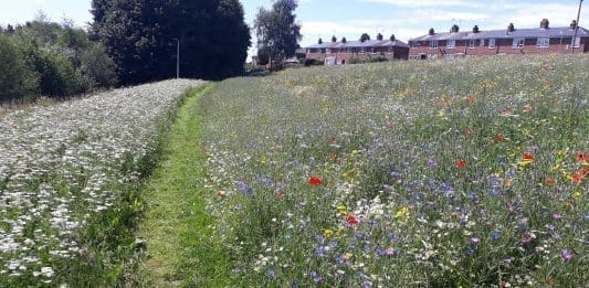 Green Infrastructure