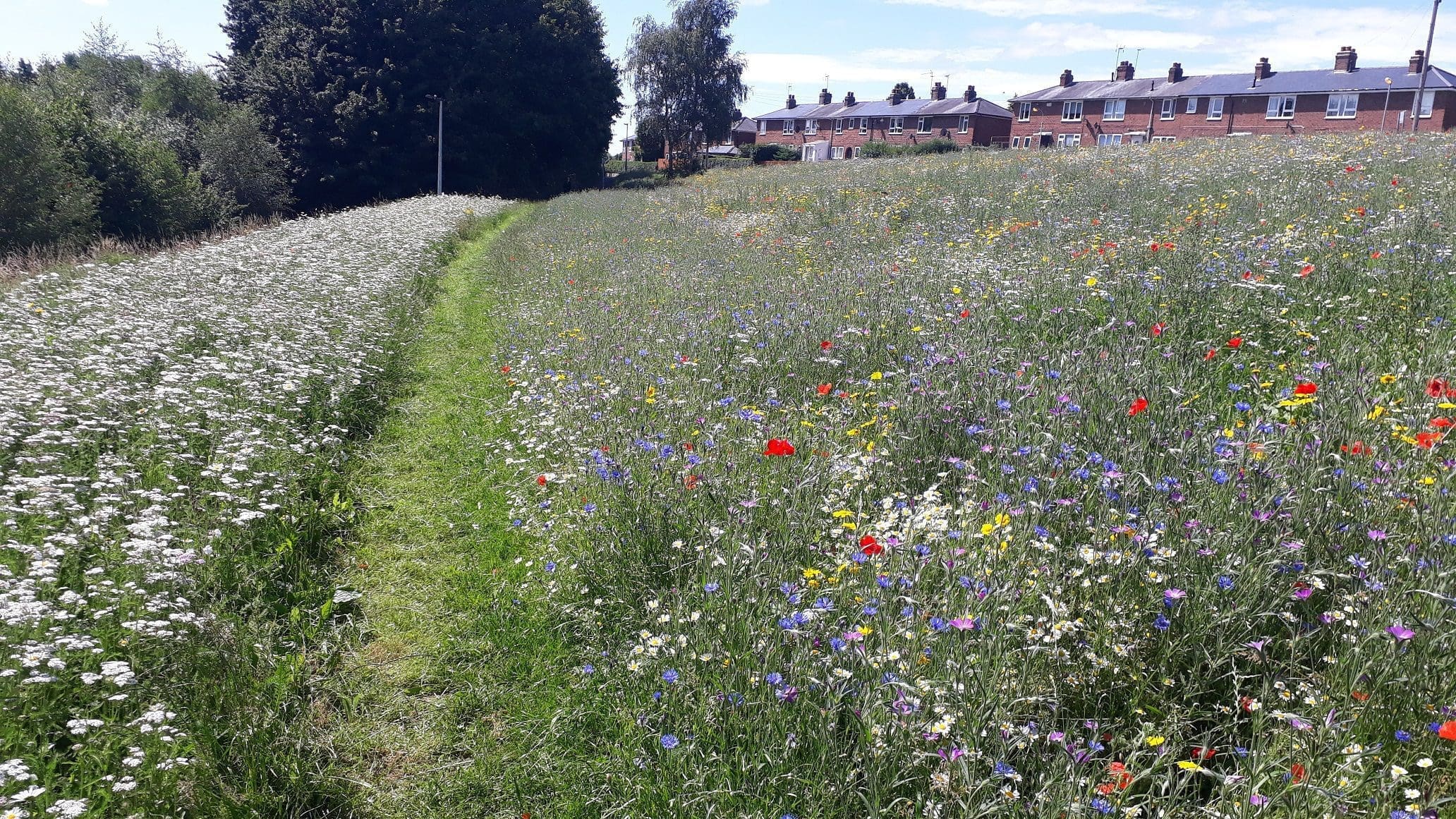 Green Infrastructure