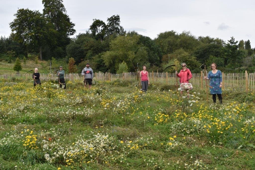 Queensway Meadow