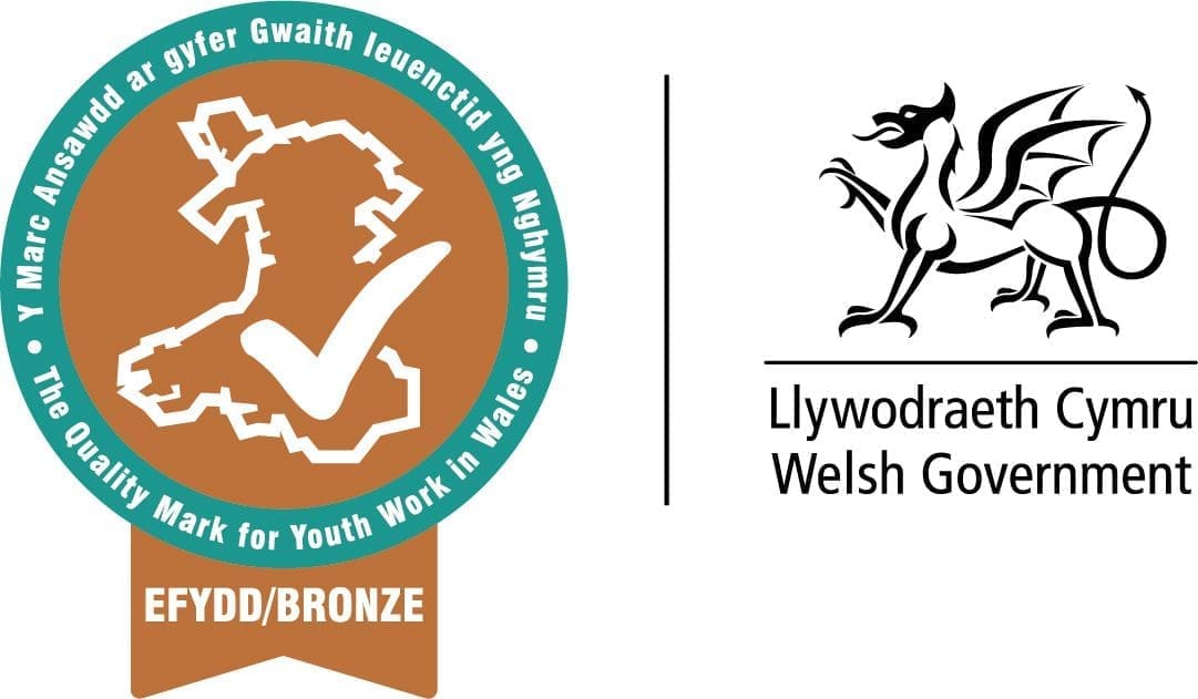 Bronze Award