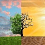 Climate change global warming