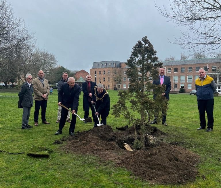 Tree planting in Wrexham