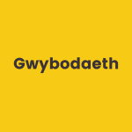 Gwybodaeth