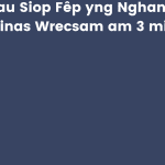 Cau Siop Fêp yng Nghanol Dinas Wrecsam am 3 mis