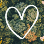 Love your Trees