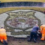 Football fans and pollinators will get a kick out of Wrexhams latest 'massive' artwork!