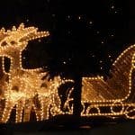 Christmas lights (two reindeer pulling a sleigh)